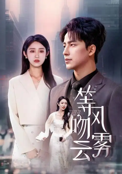 长夜灯火热播电视剧全集免费观看